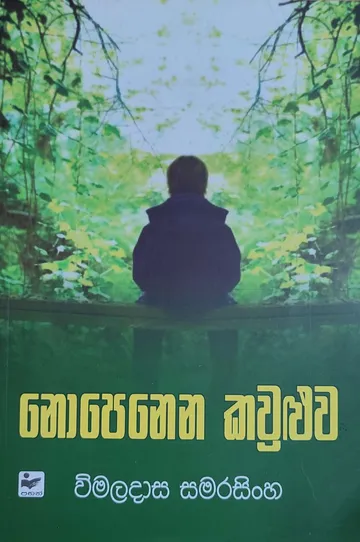 නොපෙනෙන කවුළුව