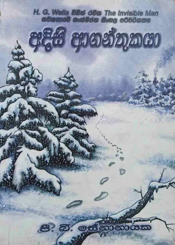 අදිසි ආගන්තුකයා